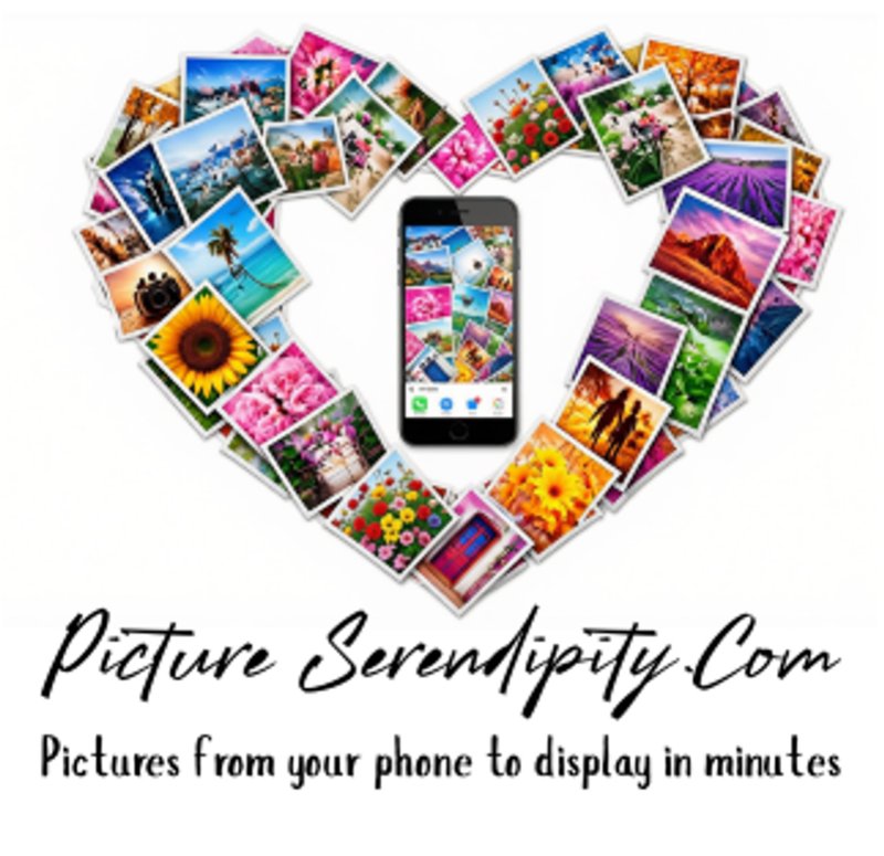 Picture Serendipity — Pictures from your phone to display in minutes